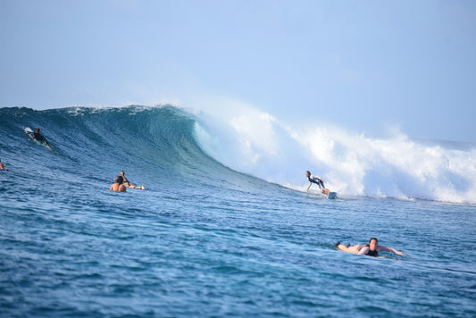 Maldives Intensive Surf Camp